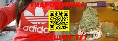 jwh Белореченск
