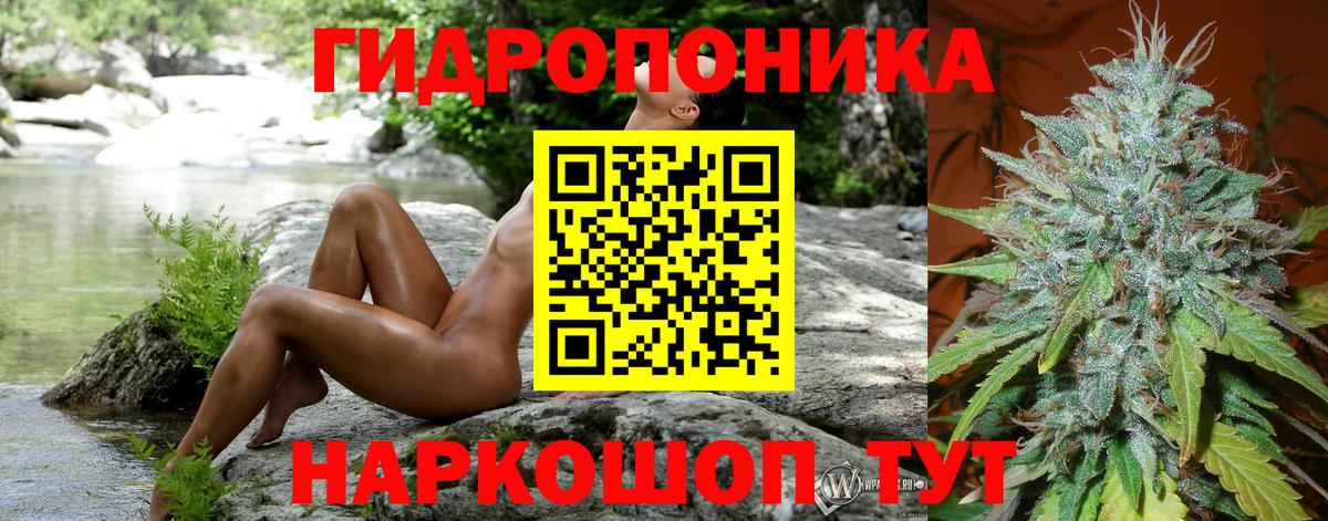 Бошки марихуана White Widow  Конопля планчик  Конопля White Widow  Вход с VPN  Нижнеудинск  Каннабис Ganja 